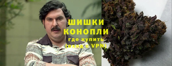 PSILOCYBIN Лагань