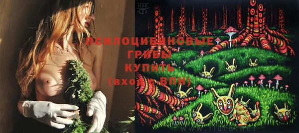 меф Ладушкин