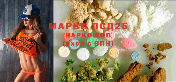 PSILOCYBIN Лагань