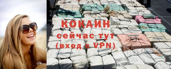 PSILOCYBIN Лагань