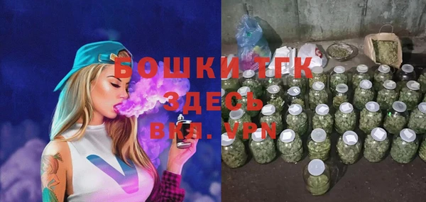 PSILOCYBIN Лагань